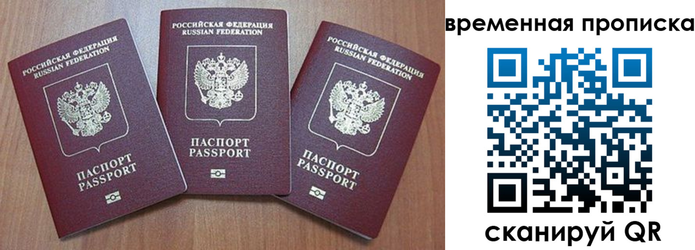 временная регистрация в Светлогорске